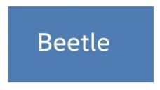 Beetle 2011-