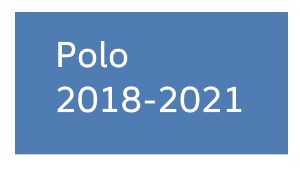 Polo 2018-2021